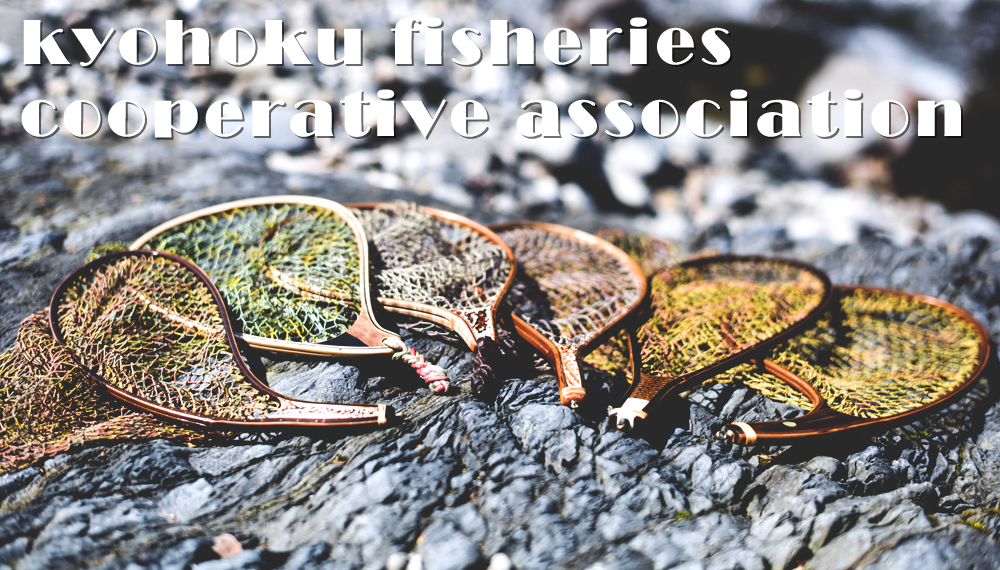 本年も、釜無川・塩川の両河川にアユ2,500K の稚魚を放流、稚アユの育ちは極めて良好で、7月上旬から8月にかけて大アユが期待できそうです。また、ヤマメ13万尾・イワナ10万尾の稚魚を放流しています。