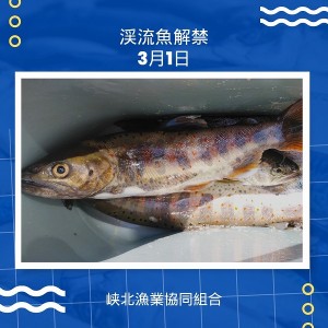 0301魚-2吉川さん縮小