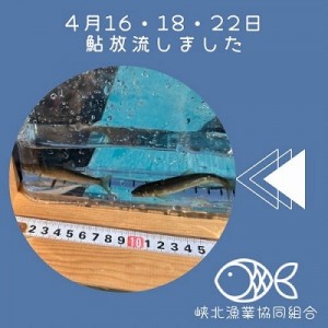 202504-2縮小
