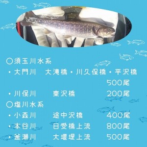 イワナ成魚0410-3縮小