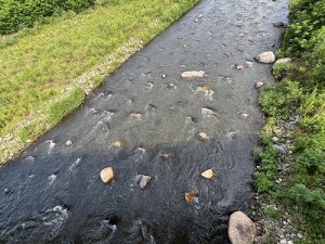 0625-2縮小