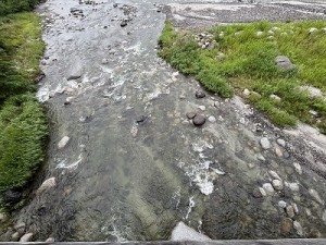 0624-4縮小