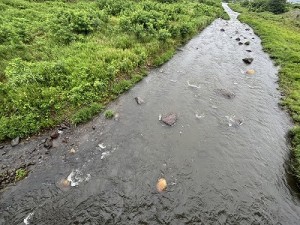0624-4縮小