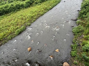 0624-2縮小