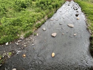 0623-4縮小