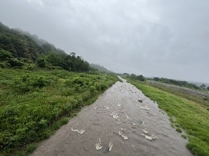 0611-3縮小
