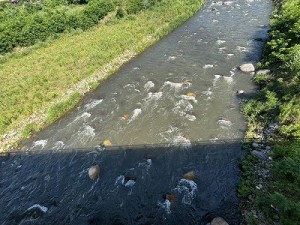 0617-2縮小