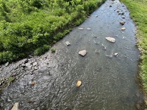 0625-4縮小