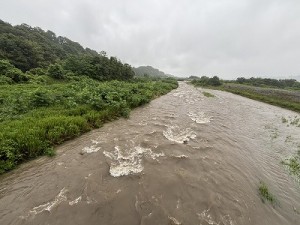 0717-3縮小