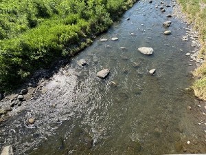 0728-4縮小