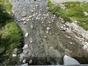 0707-4縮小