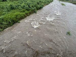 0717-4縮小
