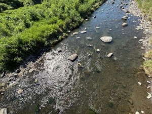 0731-4縮小