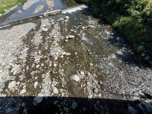 0729-2縮小