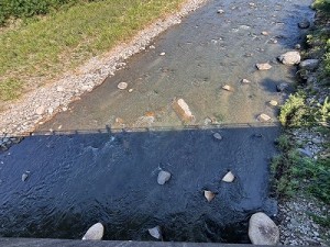 0729-2縮小