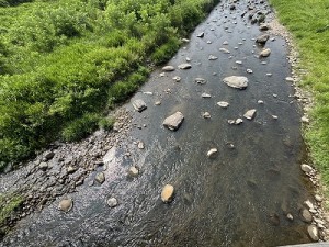 0710-4縮小