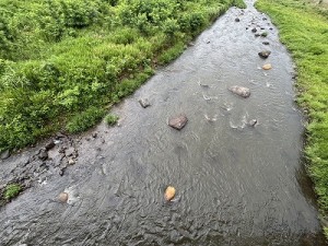 0702-4縮小