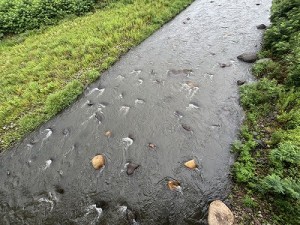 0702-2縮小