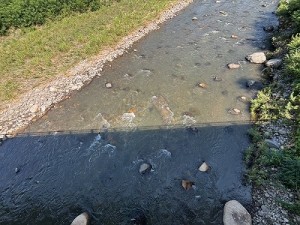 0725-2縮小
