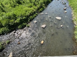 0703-4縮小