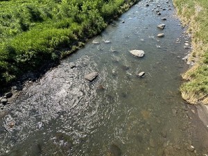 0725-4縮小