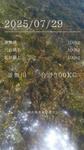020507-2縮小