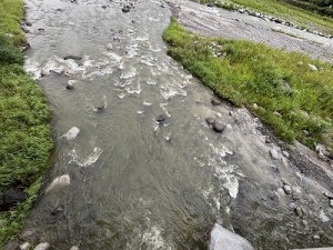 0812-4縮小