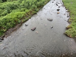 0812-4縮小