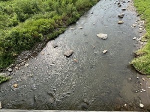0828-4縮小