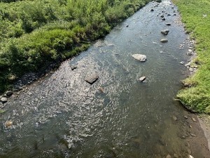 0827-4縮小