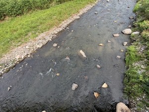 0828-2縮小