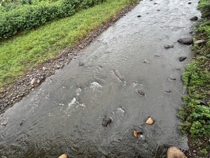 0812-2縮小