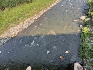 0827-2縮小