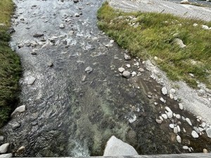 0926-4縮小