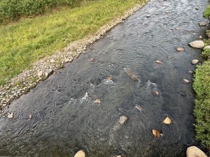 0926-2縮小