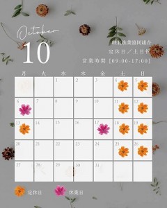 10月案内縮小