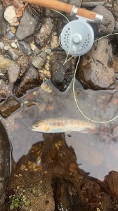 20260406塩川1縮小