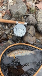 20260406塩川2縮小