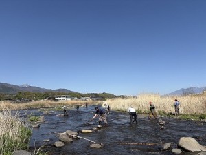 オイカワ・ウグイ産卵床造成20260411-2縮小