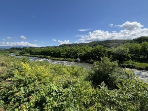 20260610-1縮小