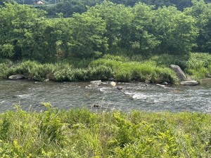 20260612-2縮小