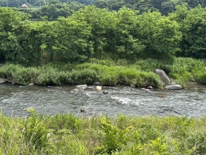 20260611-2縮小