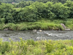 20260622-2縮小
