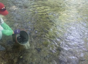 20260616-1縮小