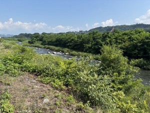 20260721-1縮小