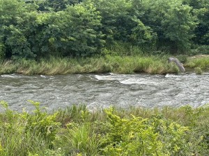 20260703-2縮小