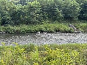 20260728-2縮小