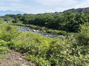 20260731-1縮小