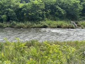 20260707-2縮小