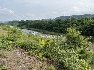 20260717-1縮小